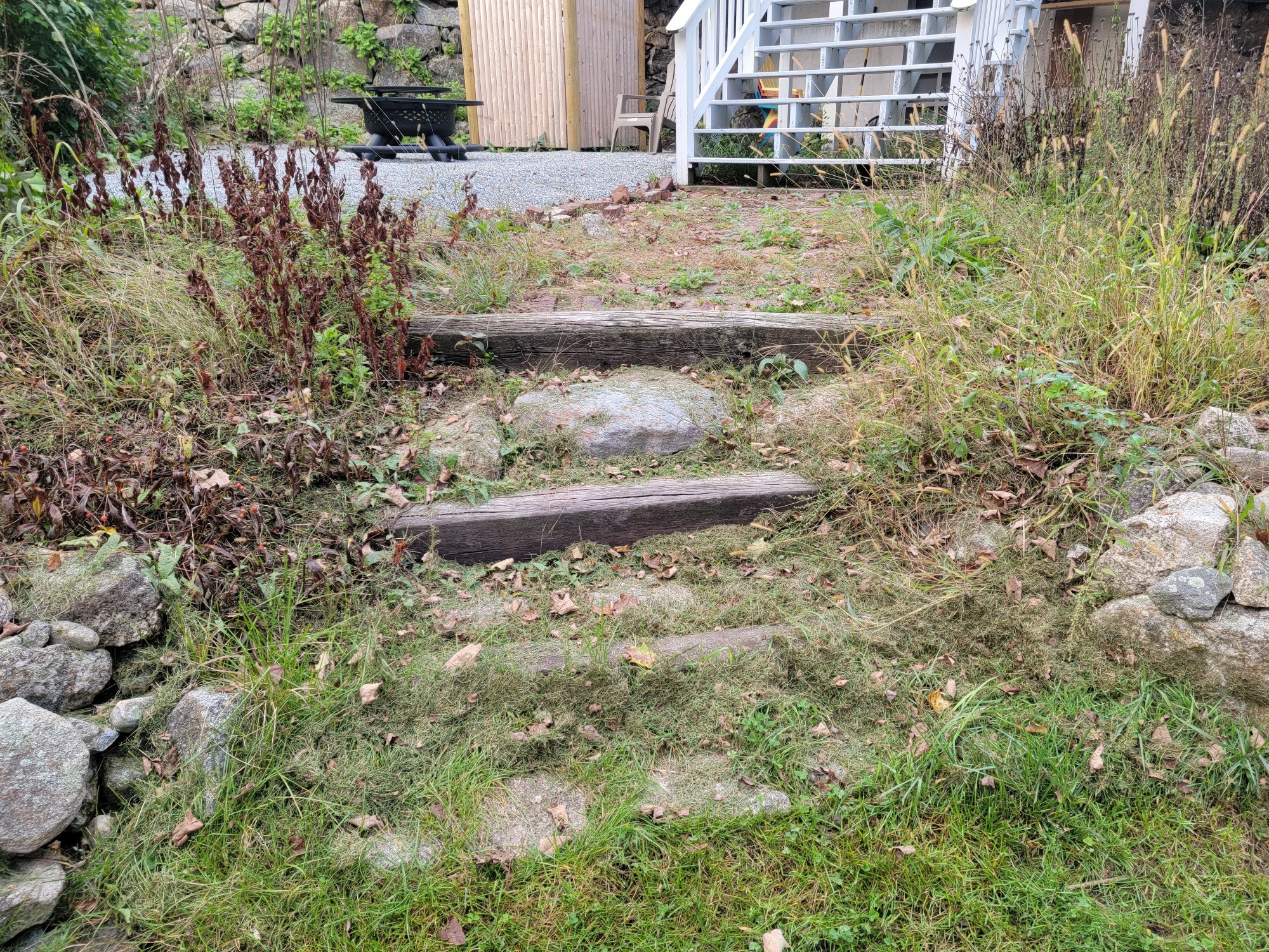 Overgrown yard before hardscaping installation