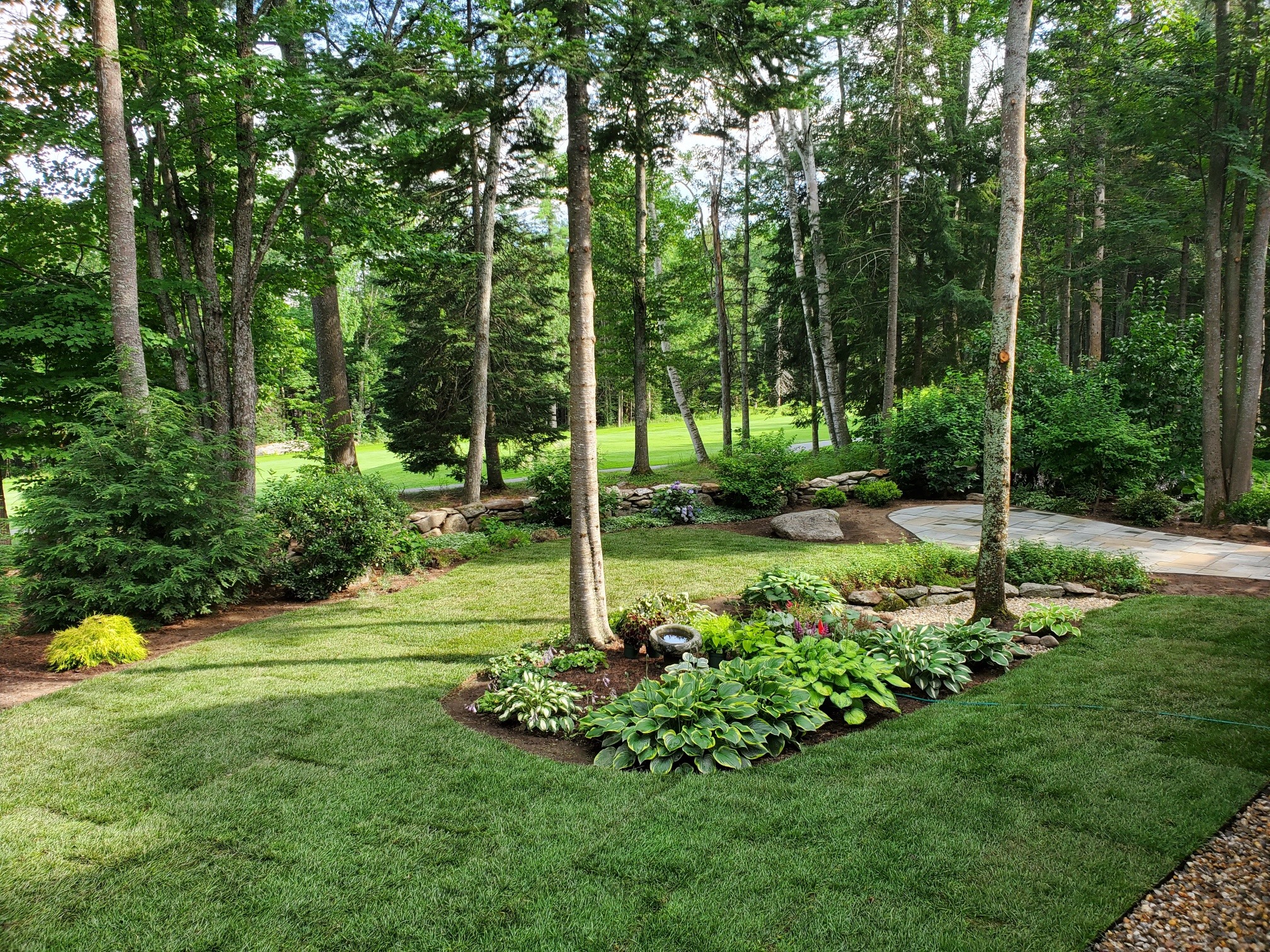 Lush green lawn after professional maintenance
