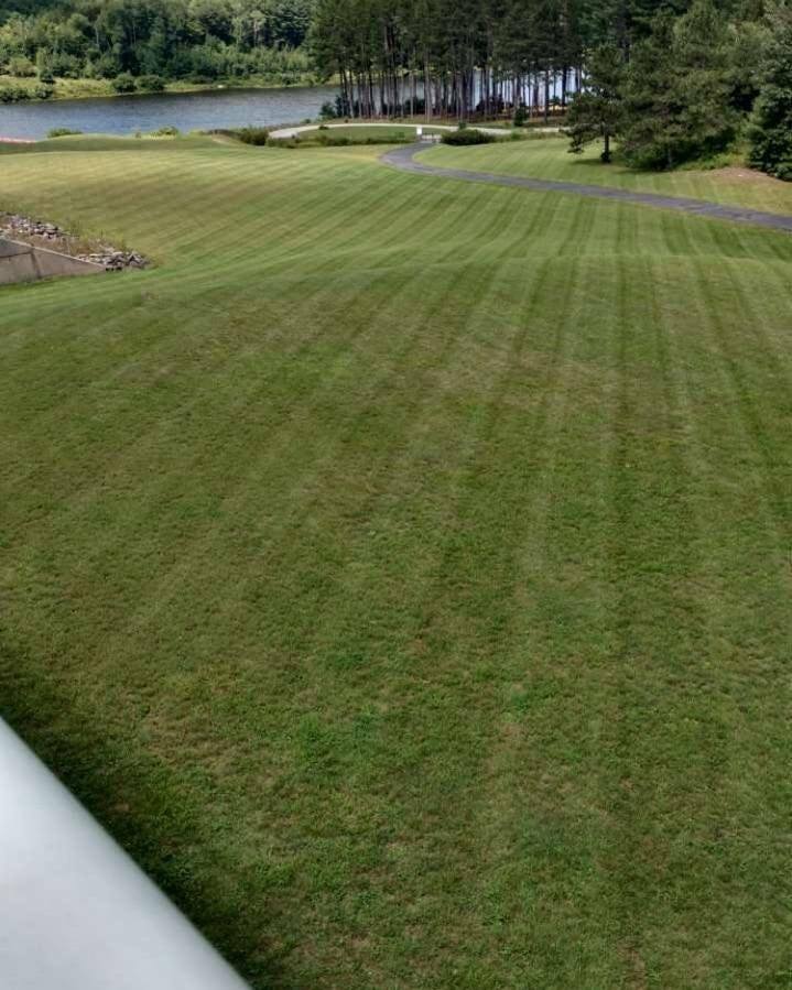 Freshly mowed and maintained lawn