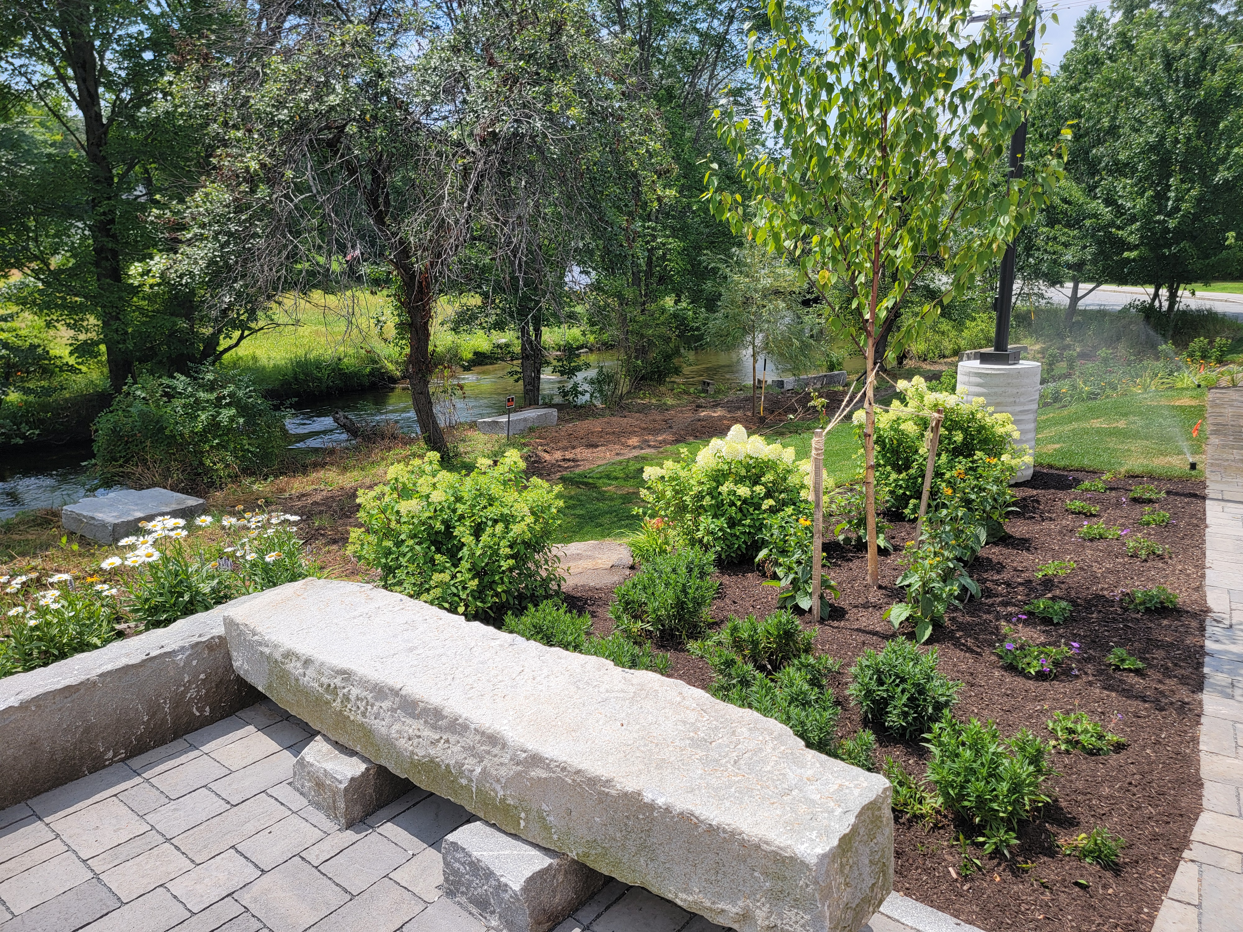 Fresh hydrangea and sapling planting beside a small stream with a large granite bench in the foreground