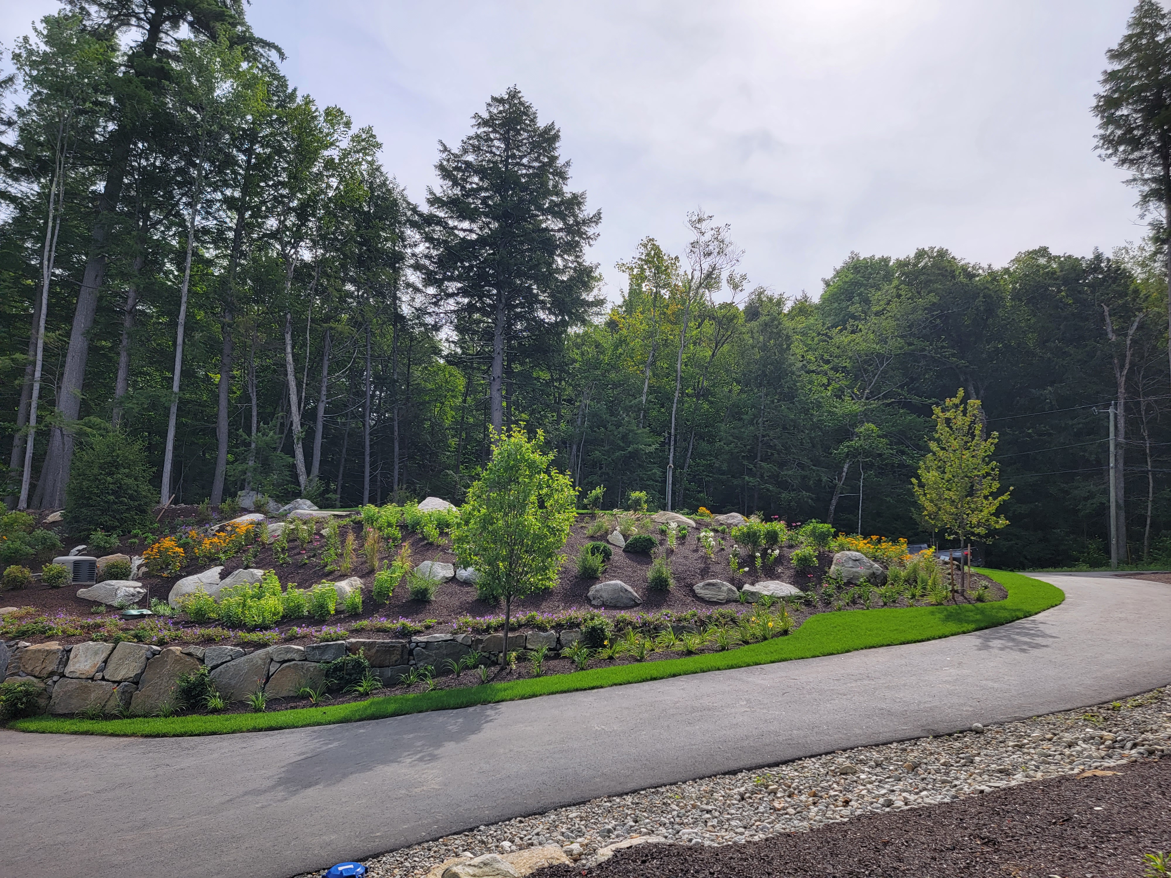 Naturalistic boulder-and-perennial bed at the curve of a paved drive with yellow daylilies